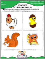 Hayvanlar ve Yavruları Eğitici Kartları